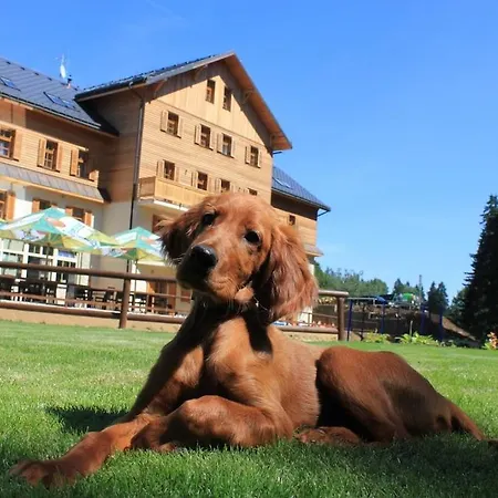 Hotel Eagle Mariánské Lázně